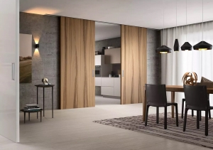 Modern sliding doors: Toronto homes Modern sliding doors: Toronto homes